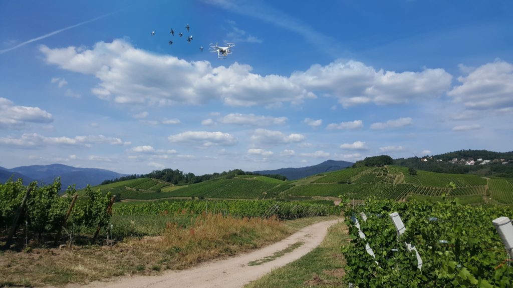 14/07/2020 : Attaques sur le drone en 1er lieu par un Milan puis poursuivi par des buses plutôt vindicatives et en bande pendant le tournage