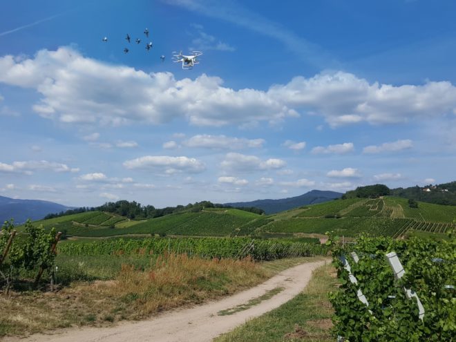 14/07/2020 : Attaques sur le drone en 1er lieu par un Milan puis poursuivi par des buses plutôt vindicatives et en bande pendant le tournage