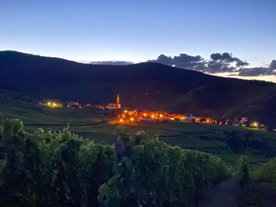 Découverte avec un drone du Domaine de l'Oriel situé dans un environnement naturel exceptionnel sur les hauteurs de 68230 Niedermorschwihr (Alsace)