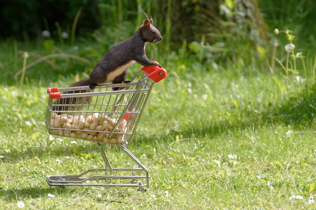 Vous ne pouvez plus faire vos courses en Allemagne ? Soyons solidaires de nos bars, restos, hôtels, gites, commerces et artisans Nous avons également nos Pme, artisans, commerçants, producteurs locaux en Alsace Ne les oublions pas !! Info cataclaude.fr création et référencement site Internet 68 Wittelsheim entre thann, Cernay, Colmar et Mulhouse