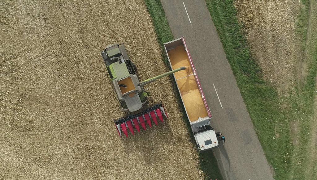 28/10/2020 : Prises de vues par drone en compagnie de Sébastien Reymann pour un de ses chantiers de moissons de maïs sur les terres de la Ferme Reymann située à 68 Raedersheim ( Haut-Rhin, Alsace)