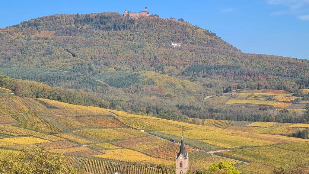 La Famille KRESS-BLEGER est heureuse de vous présenter son exploitation revêtue de sa robe d'automne et située sur la route des vins à 68 Rodern (Alsace) d'une manière différente avec ces prises de vues aériennes effectuées à l'aide d'un drone.