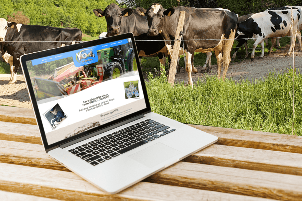 Refonte complète du site Internet vitrine pour les yaourts de Sandrine (Earl Motsch Gollentz à 68 Osenbach entre mulhouse et Colmar (Haut-Rhin) Alsace