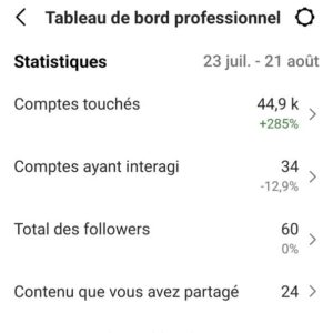 Aperçu de résultats vraiment prometteurs pour ma page Instagram