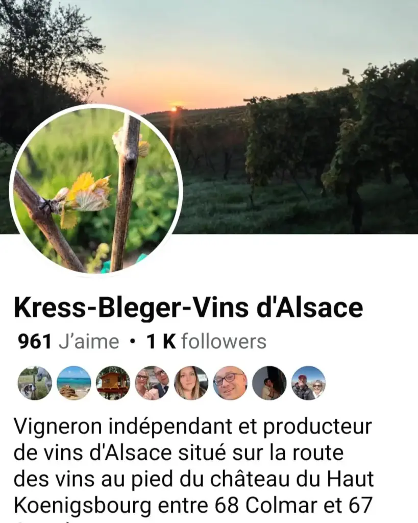 Kress-Bleger - 68 Rodern