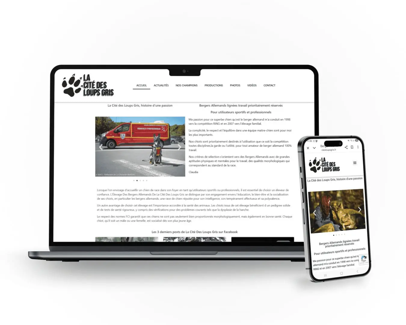 Bergers Allemands lignées travail prioritairement réservés Pour utilisateurs sportifs et professionnels Ma passion pour ce superbe chien qu’est le berger allemand m’a conduit en 1998 vers la compétition RING et en 2007 vers l’élevage familial.